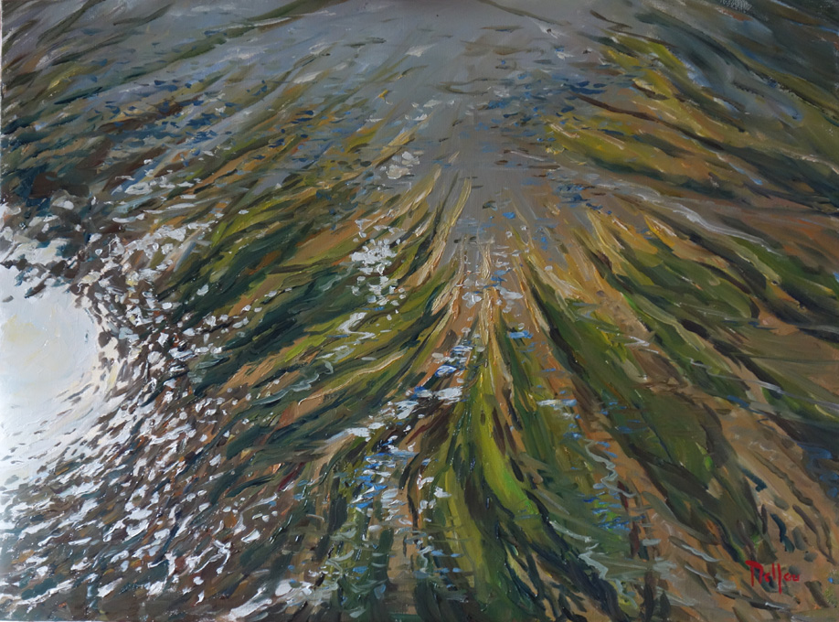 Les algues de la rivière